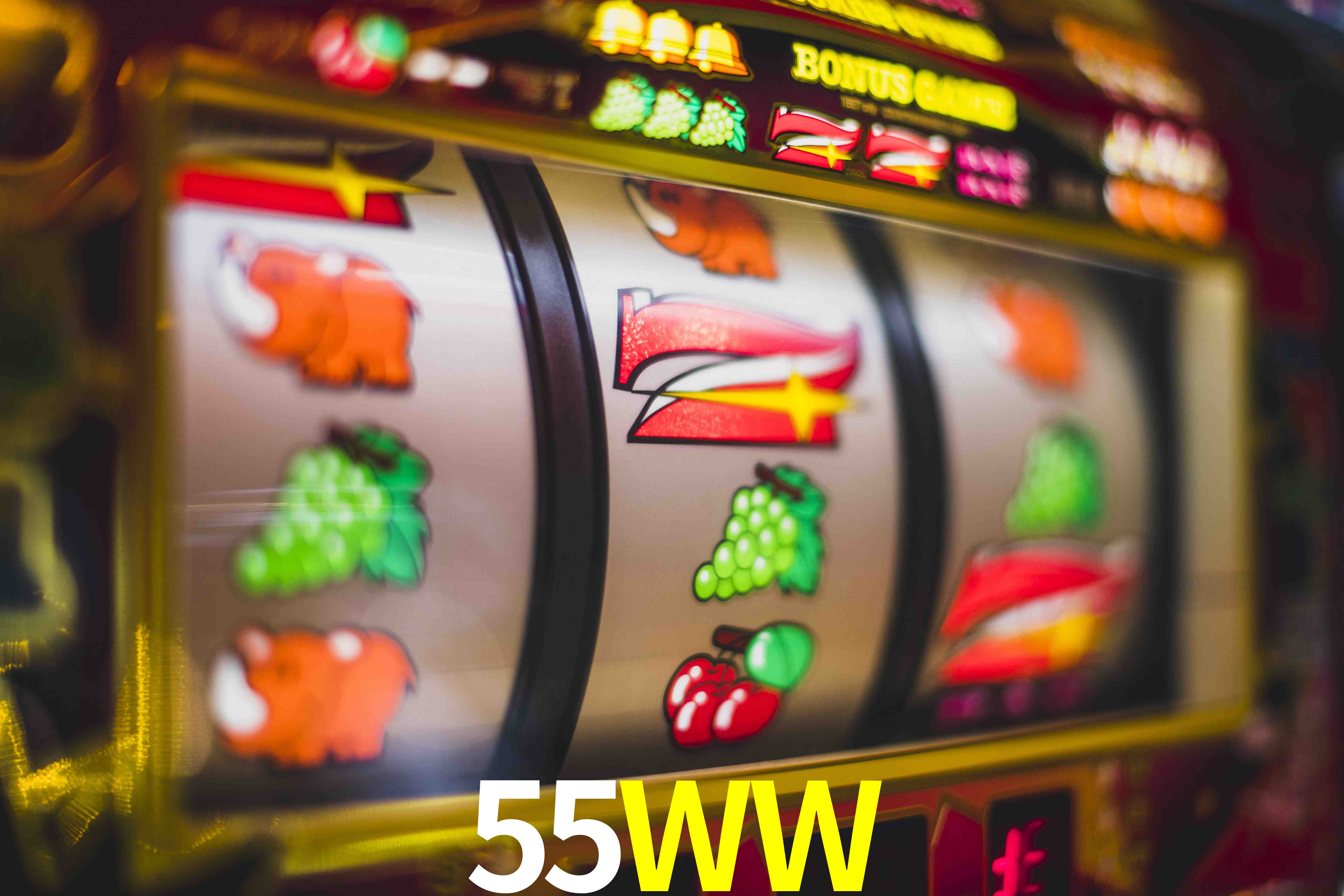 Tennis Betting 55WW